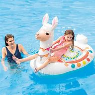 Image result for Rubber Pool Toys
