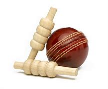 Image result for Cricket Hotspot Ball Hit Pad or Bat