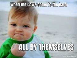 Image result for Bad Cow Jokes