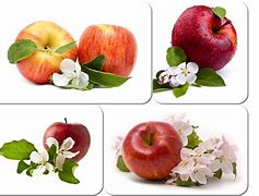 Image result for Overlay Drobs Slices Apple