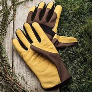 Image result for Leather Gardening Gloves