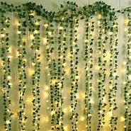 Image result for Vines with Fairy Lights