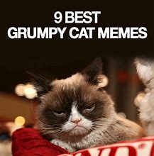 Image result for Savage Grumpy Cat Memes