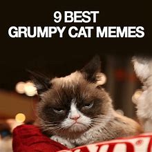 Image result for Grumpy Cat Work Meme