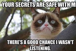 Image result for Cat Secret Meme
