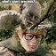 Image result for Lord of the Rings Samuel Jackson Meme