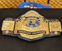 Image result for Custom Deathmatch Wrestling Belts