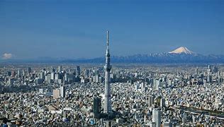 Image result for Tokyo Mount Fuji Aerial View
