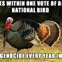 Image result for Wild Turkey Thanksgiving Meme