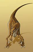 Image result for Raptor Art
