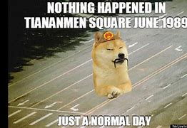 Image result for Tiananmen Square Anteater Meme
