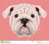 Image result for Bulldog Illustration