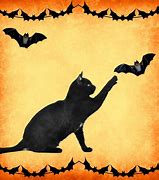 Image result for Cat with a Bat Meme