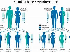 Image result for Women with Xy Chromosome