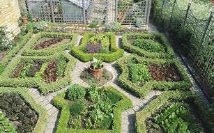 Image result for Vegetable Garden Layout Design