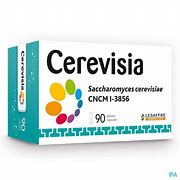 Image result for cerevisina