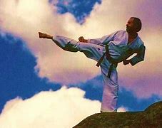 Image result for Okinawan Karate Stances