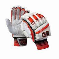 Image result for GM Cricket Gloves