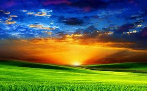 Image result for Sun with Green Background