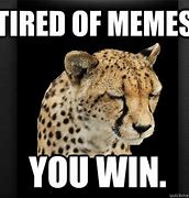 Image result for Tired of Winning Meme