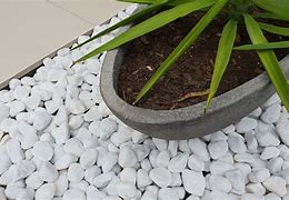 Image result for Decorative Stones and Pebbles