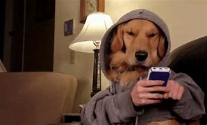 Image result for Dog Answering Phone