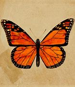 Image result for Omen Monarch Butterfly