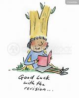 Image result for Revision Cartoon