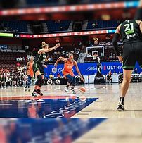 Image result for WNBA Connecticut Sun