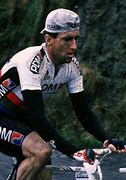 Image result for Sean Kelly