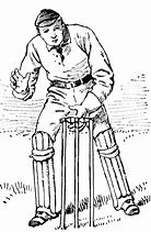 Image result for Cricket Wicketkeeper with White Background