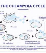 Image result for Chlamydia Antibiotics