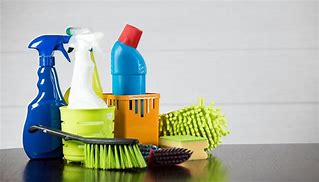 Image result for Cleaning Supplies to Clean House