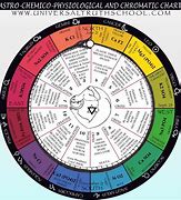 Image result for Alchemy Zodiac Signs