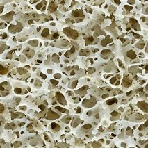Image result for Bone Texture High Resolution