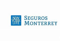 Image result for Seguros Monterrey Logo