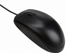 Image result for Standard Mouse