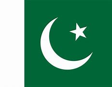 Image result for pakistan flag