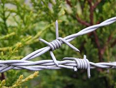 Image result for Barbed Wire