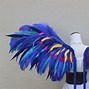 Image result for Blue Feather Wings