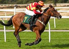 Image result for Paint Racehorses