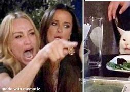 Image result for Woman Screaming at Cat Meme Template