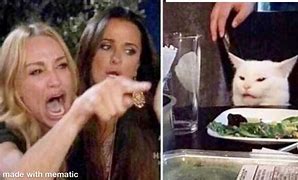 Image result for Woman Yelling at Cat Meme Template
