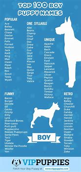Image result for 1000 Male Dog Names