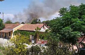Image result for Corfu Forest Fires