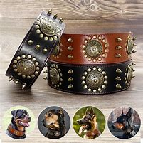Image result for big leather dogs collar spiked