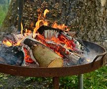 Image result for Heavy Duty Swivel Fire Grill