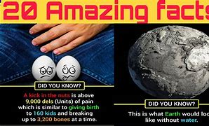Image result for Fun Facts About the World