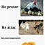 Image result for Flat Chicken Meme