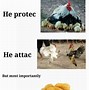 Image result for Mountain Chicken Meme